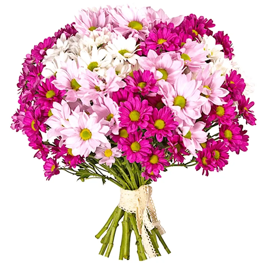 Хризантемы кустовые нежный микс